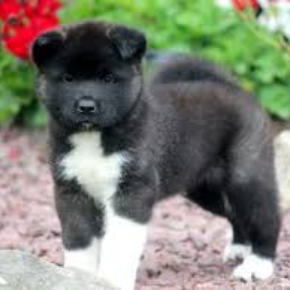 Meet your Posher, Juanita